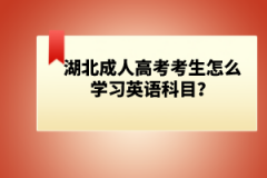 湖北成人高考考生怎么學習英語科目？
