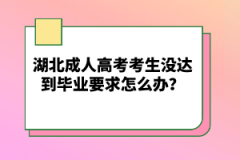 湖北成人高考考生沒達到畢業(yè)要求怎么辦？