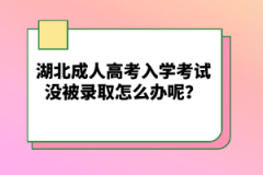 湖北成人高考入學考試沒被錄取怎么辦呢？