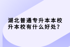 湖北普通專升本本校升本校有什么好處？