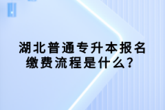 湖北普通專(zhuān)升本報(bào)名繳費(fèi)流程是什么？