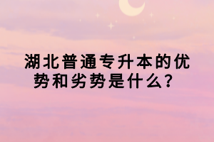 湖北普通專升本的優(yōu)勢(shì)和劣勢(shì)是什么？