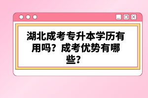 湖北成考專(zhuān)升本學(xué)歷有用嗎？成考優(yōu)勢(shì)有哪些？
