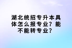 湖北統(tǒng)招專升本具體怎么報專業(yè)？能不能轉(zhuǎn)專業(yè)？