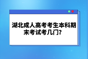 湖北成人高考考生本科期末考試考幾門？