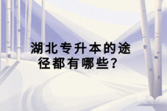 湖北專升本的途徑都有哪些？