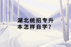 湖北統(tǒng)招專升本怎樣自學(xué)？