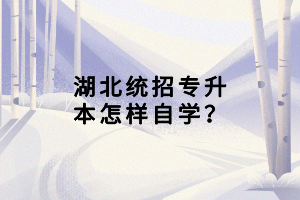 湖北統(tǒng)招專升本怎樣自學(xué)？