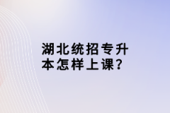 湖北統(tǒng)招專升本怎樣上課？