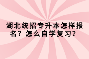 湖北統(tǒng)招專升本怎樣報(bào)名？怎么自學(xué)復(fù)習(xí)？