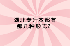湖北專升本都有那幾種形式？