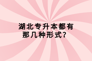 湖北專升本都有那幾種形式？