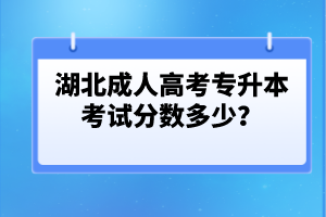 湖北成人高考專升本考試分?jǐn)?shù)多少？