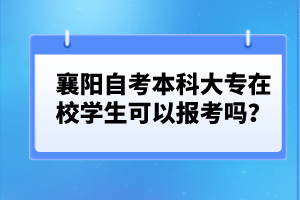 襄陽自考本科大專在校學(xué)生可以報(bào)考嗎？