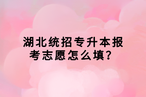 湖北統(tǒng)招專升本報(bào)考志愿怎么填？