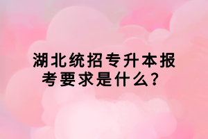 湖北統(tǒng)招專升本報(bào)考要求是什么？