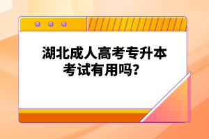 湖北成人高考專升本考試有用嗎？