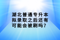 湖北普通專升本擬錄取之后還有可能會被刷嗎？