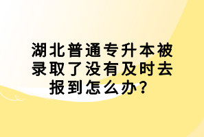 湖北普通專升本被錄取了沒有及時去報到怎么辦？