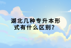 湖北幾種專升本形式有什么區(qū)別？