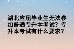 湖北應屆畢業(yè)生無法參加普通專升本考試？專升本考試有什么要求？