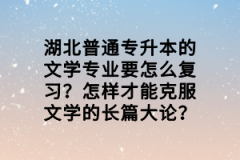 湖北普通專升本的文學專業(yè)要怎么復習？怎樣才能克服文學的長篇大論？