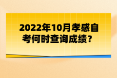 2022年10月孝感自考何時(shí)查詢成績(jī)？