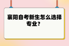 襄陽自考新生怎么選擇專業(yè)？