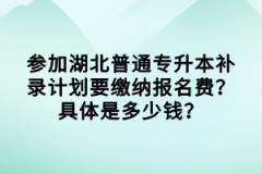 參加湖北普通專升本補(bǔ)錄計(jì)劃要繳納報(bào)名費(fèi)？具體是多少錢？