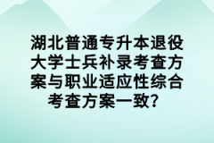 湖北普通專升本退役大學(xué)士兵補(bǔ)錄考查方案與職業(yè)適應(yīng)性綜合考查方案一致？
