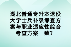 湖北普通專升本退役大學(xué)士兵補錄考查方案與職業(yè)適應(yīng)性綜合考查方案一致？