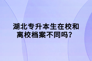 湖北專升本生在校和離校檔案不同嗎？