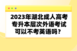 2023年湖北成人高考專升本層次外語考試可以不考英語嗎？
