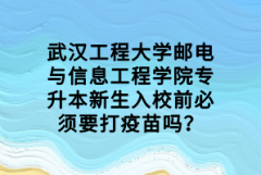 武漢工程大學郵電與信息工程學院專升本新生入校前必須要打疫苗嗎？