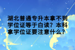 湖北普通專升本拿不到學位證等于白讀？本科拿學位證要注意什么？