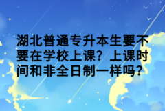湖北普通專升本生要不要在學校上課？上課時間和非全日制一樣嗎？