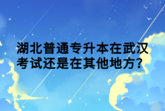 湖北普通專升本在武漢考試還是在其他地方？