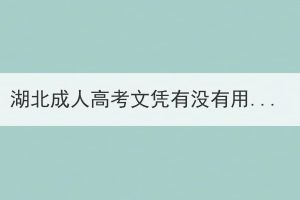 湖北成人高考文憑有沒有用？