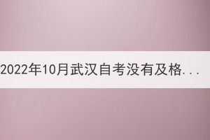 2022年10月武漢自考沒有及格可以補考嗎？