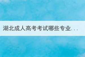 湖北成人高考考試哪些專業(yè)需要參加專業(yè)加試？